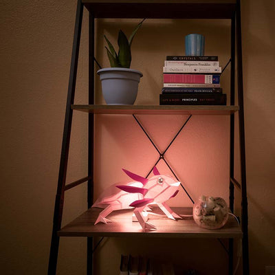 Axolotl 3D Paper Model, Lamp - PAPERCRAFT WORLD