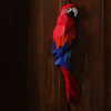 Macaw Wall Art - PAPERCRAFT WORLD