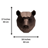 Bear Head Wall Decor & Mount